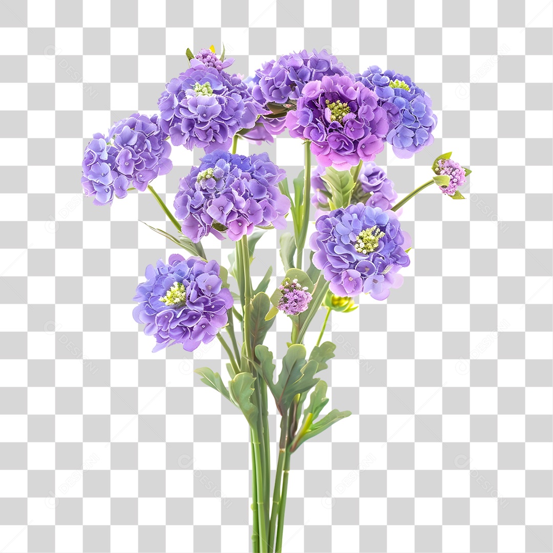 Flores PNG Transparente