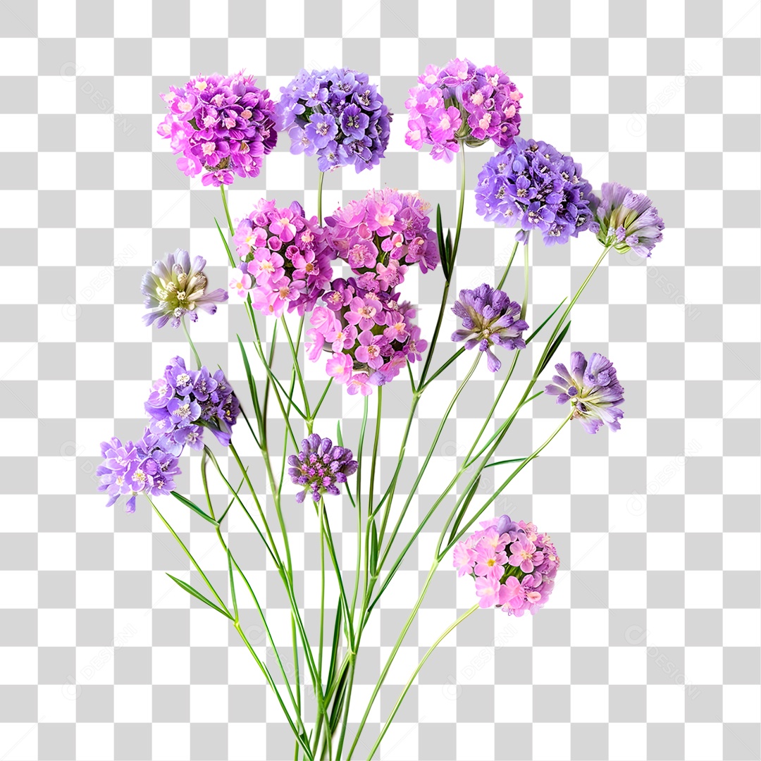 Planta Galho PNG Transparente