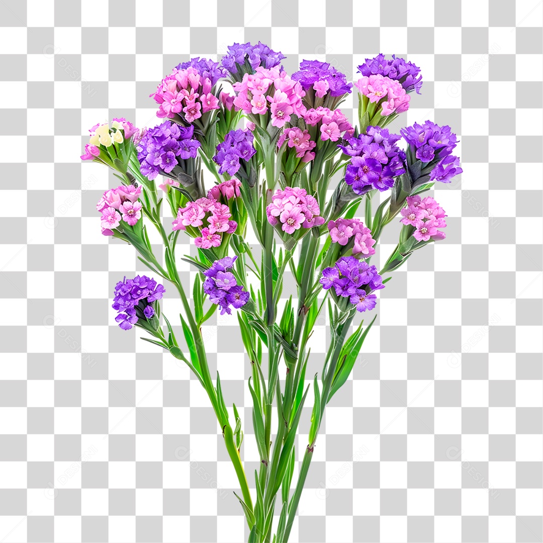 Planta Galho PNG Transparente