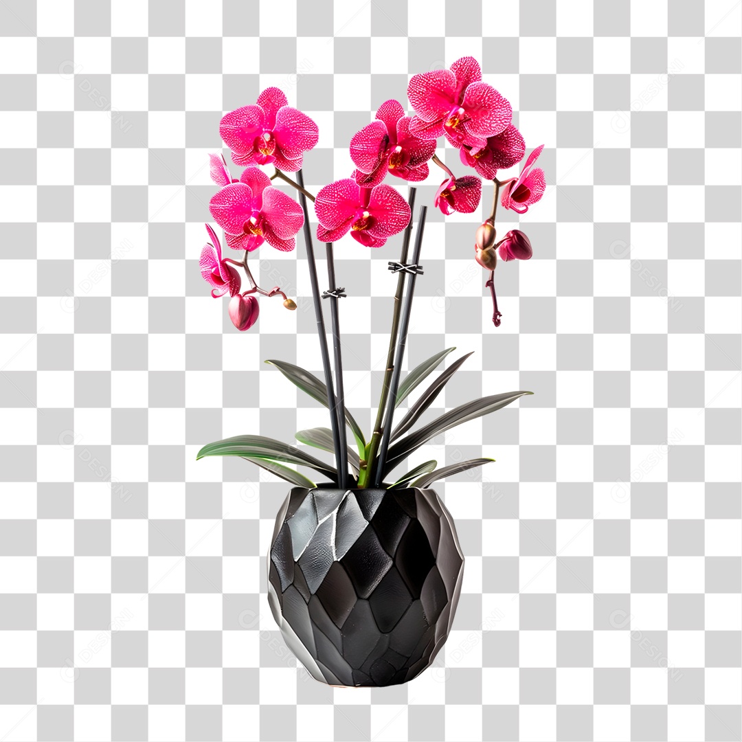 PNG flower Transparent