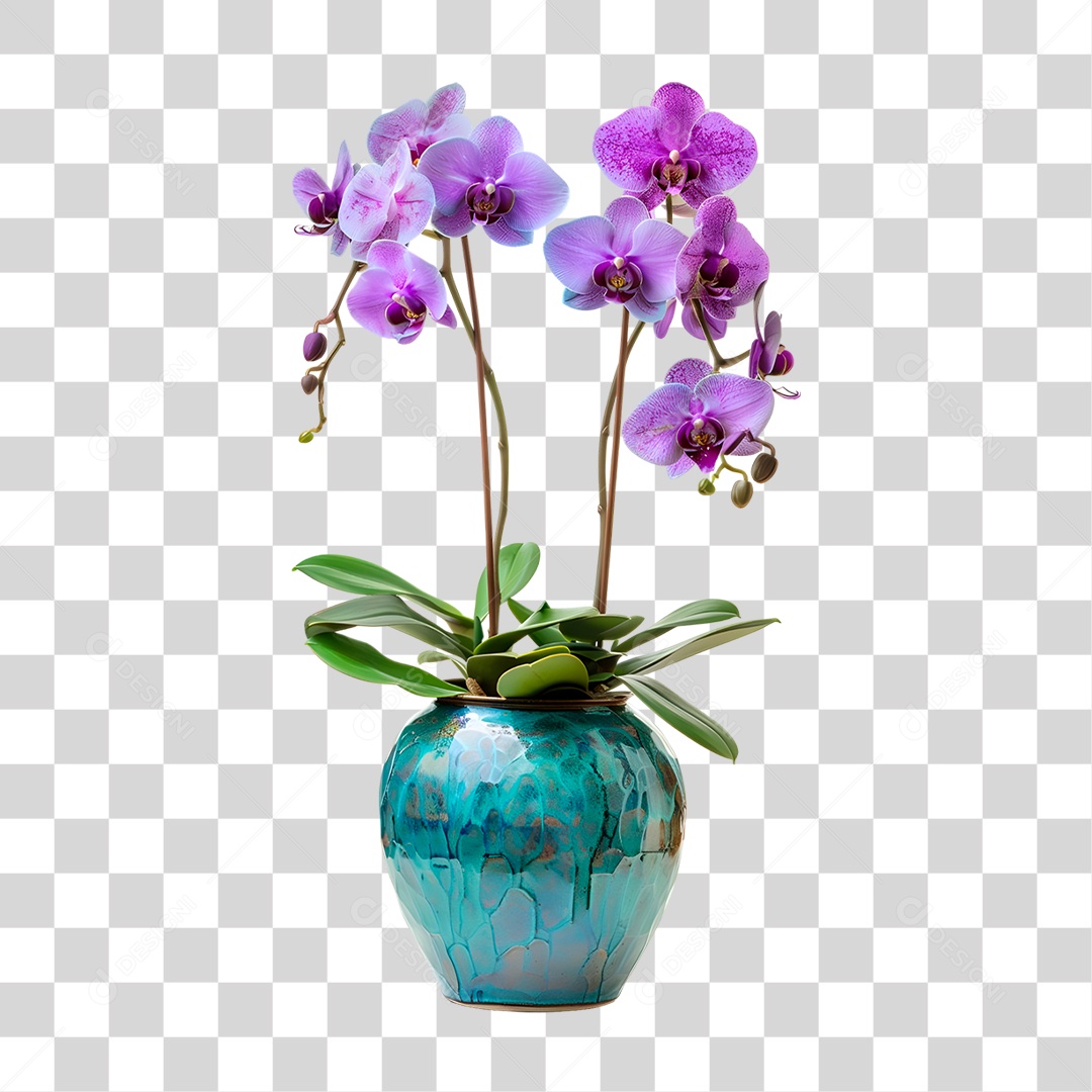 Flor PNG Transparente