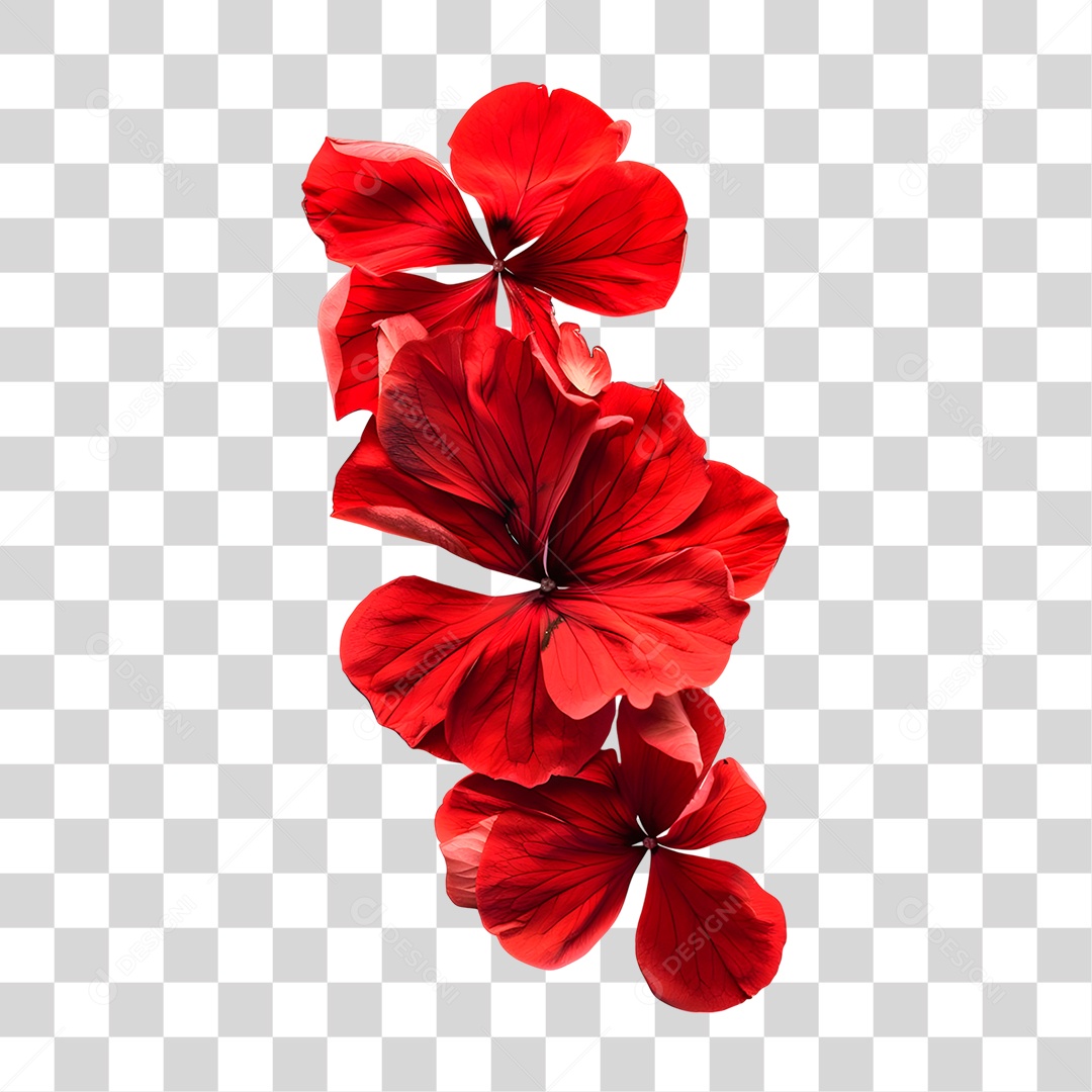 Flores PNG Transparente