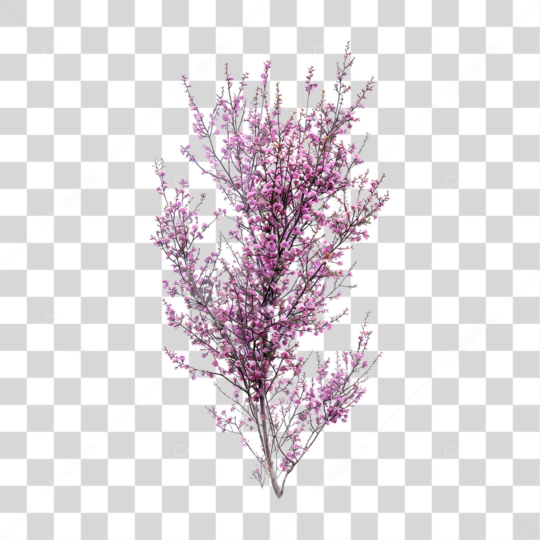 Planta PNG Transparente