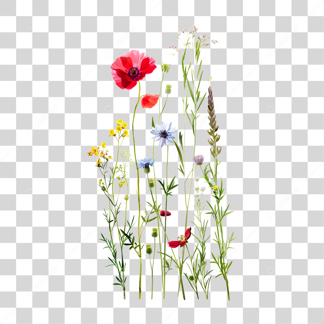 Flores PNG Transparente
