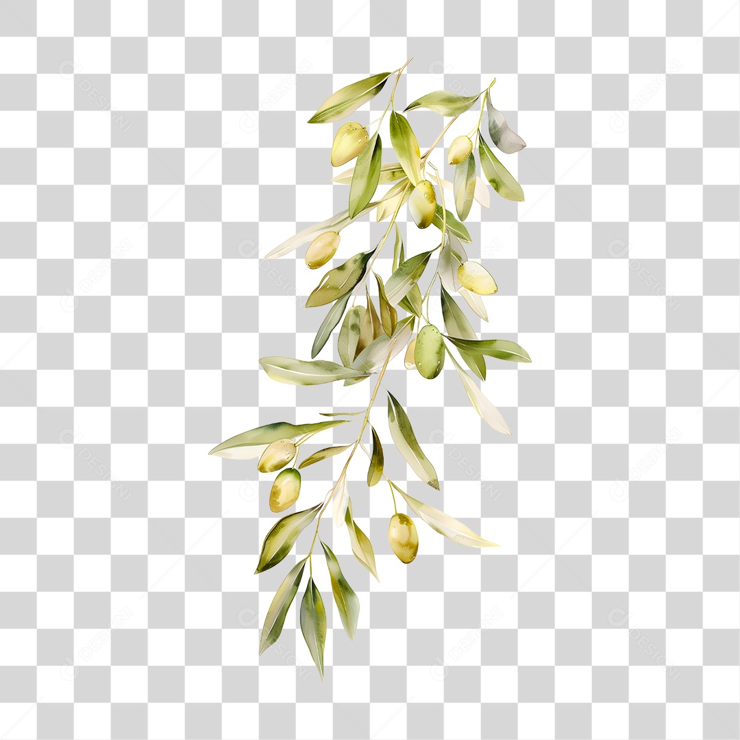 Galho PNG Transparente