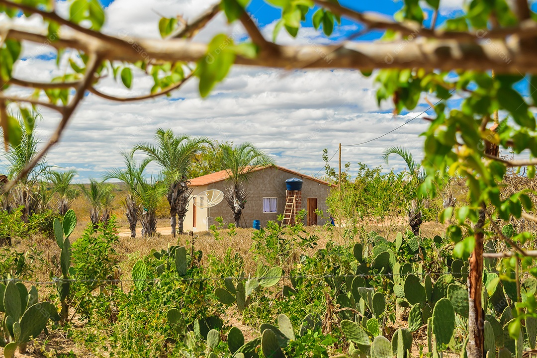 Casa modesta com plantas verdes ao lado