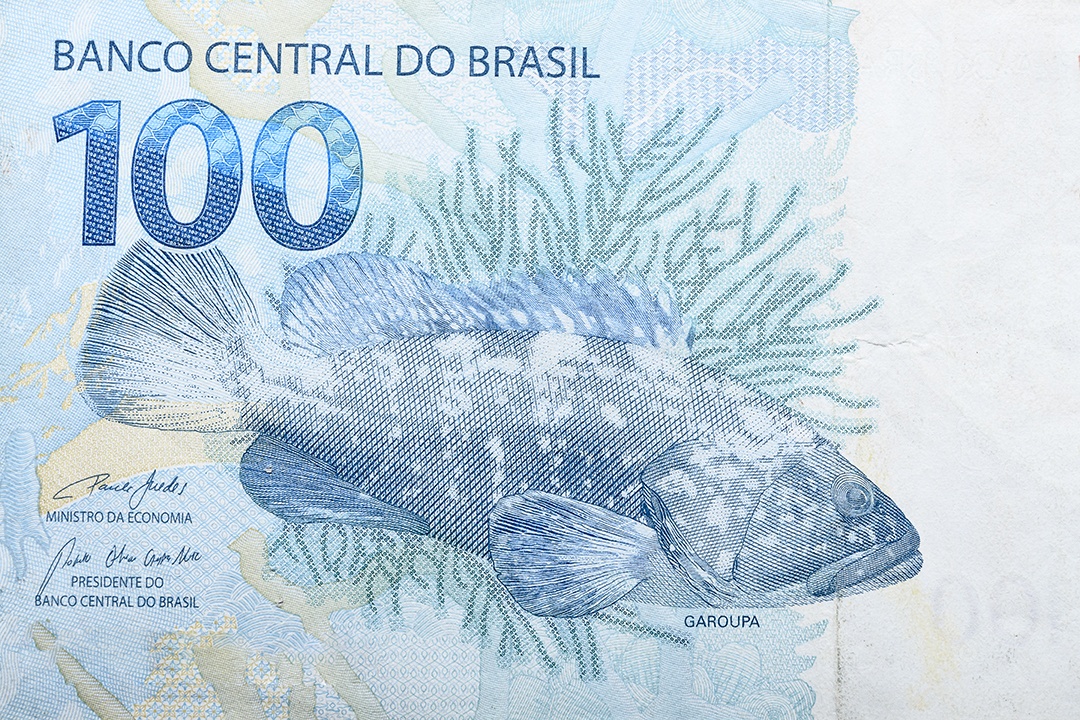 Cem reais em espécies