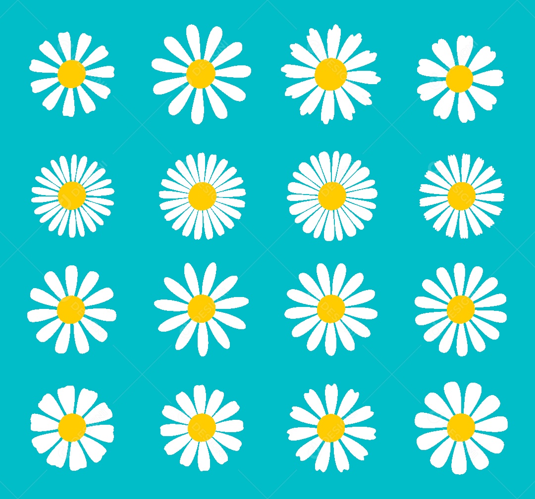 Conjunto de Flores Ilustração Vetor EPS