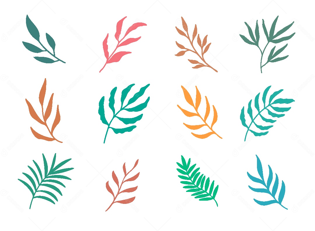 Conjunto de Ramos de Folhas Ilustração |Vetor EPS
