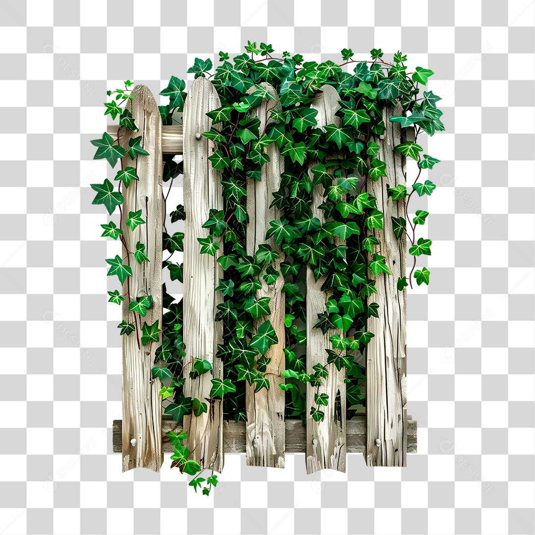 Planta em Cerca de Madeira PNG Transparente