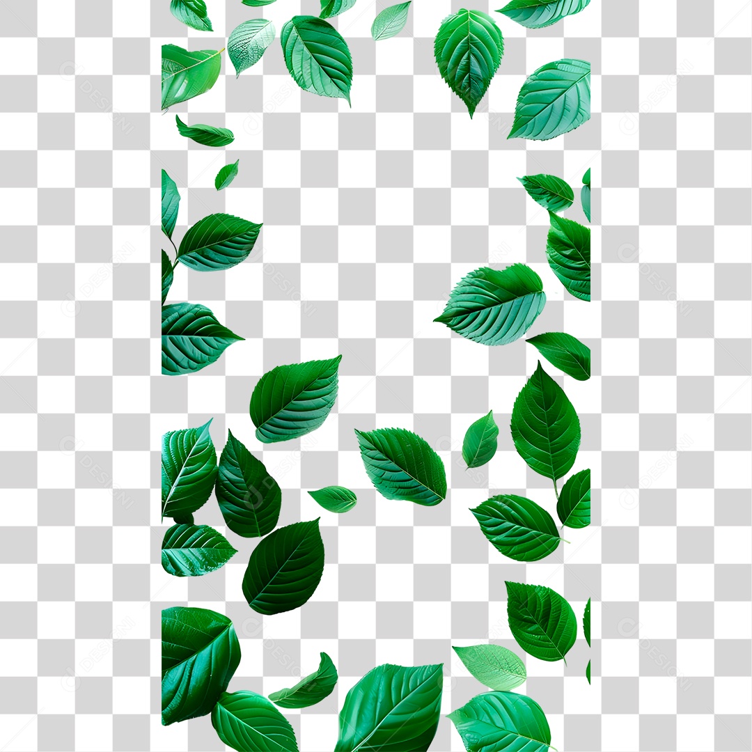 Moldura Folha Verde PNG Transparente