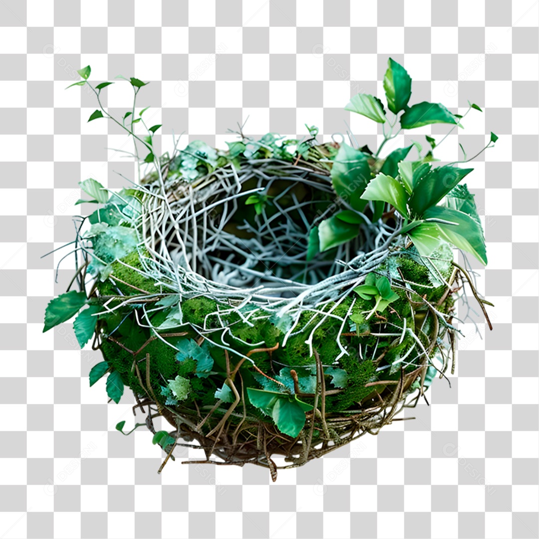 Ninho de Passarinho PNG Transparente