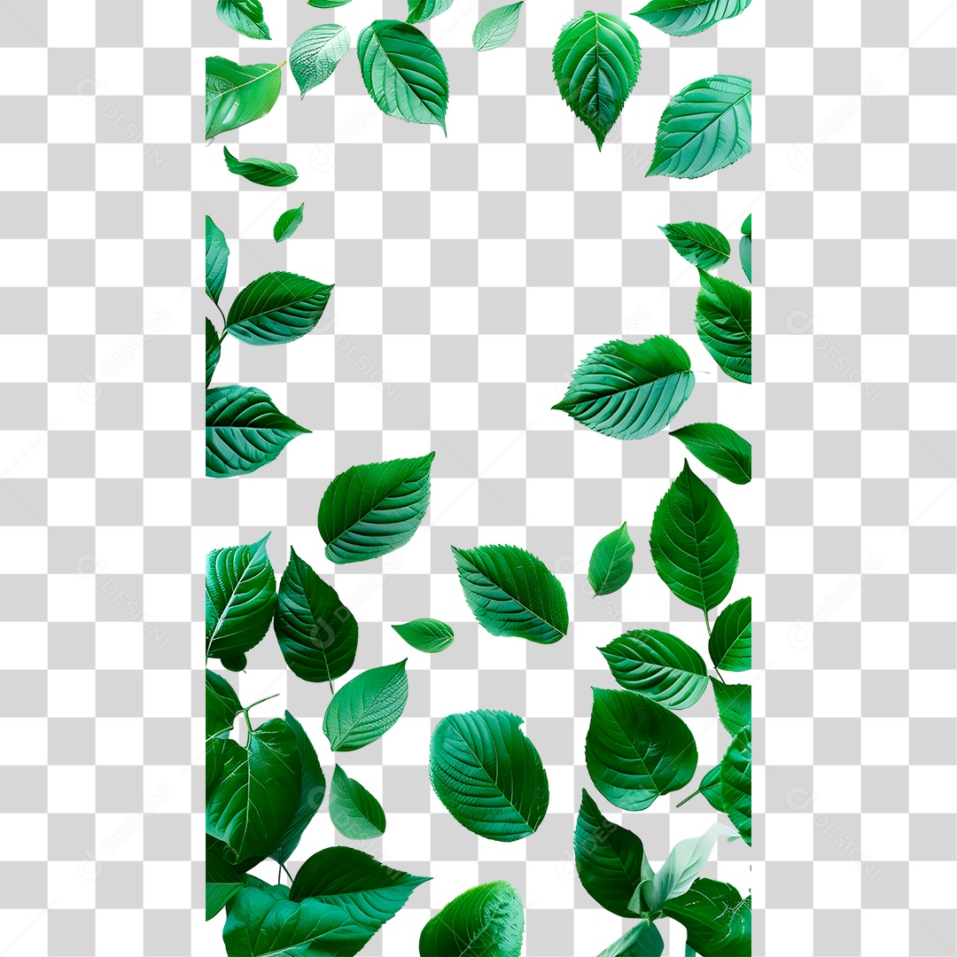 PNG Green Sheet Bezel Transparent