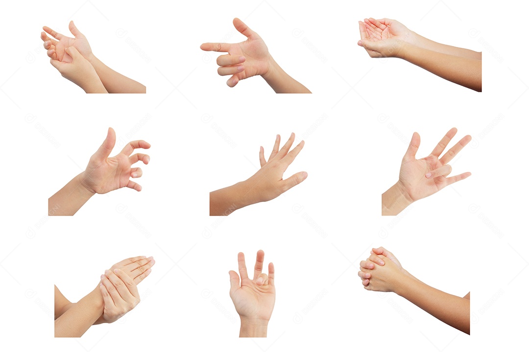 Coleção de mãos em várias poses sobre um fundo branco