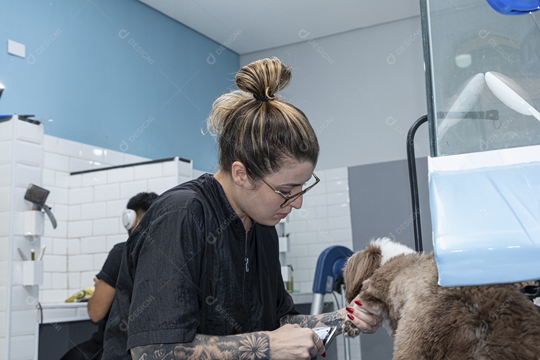 Mulher dando banho em cachorrinho Shih Tzu em clínica de petshop