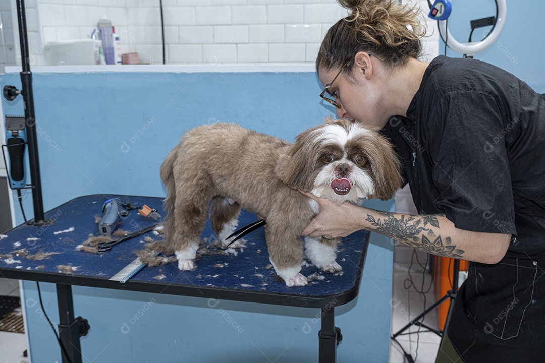 Cachorrinho sendo tosado em petshop