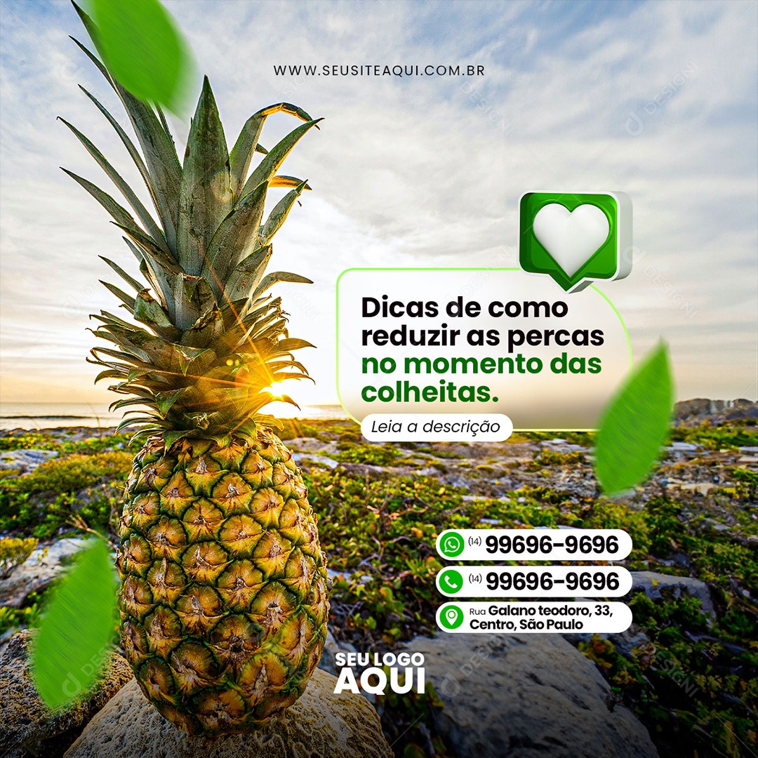 Agronegócio Agropecuária Social Media PSD Editável