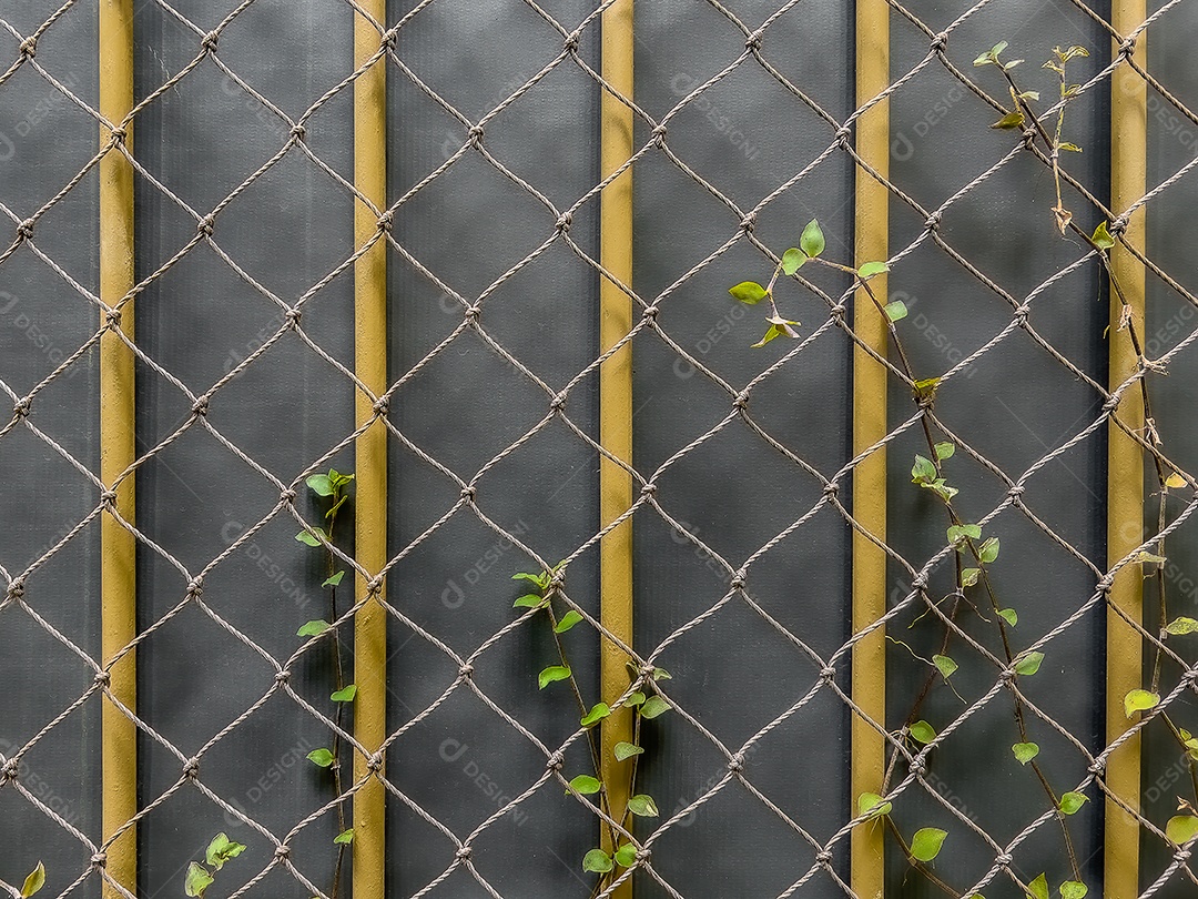 Plantas na grade de porta