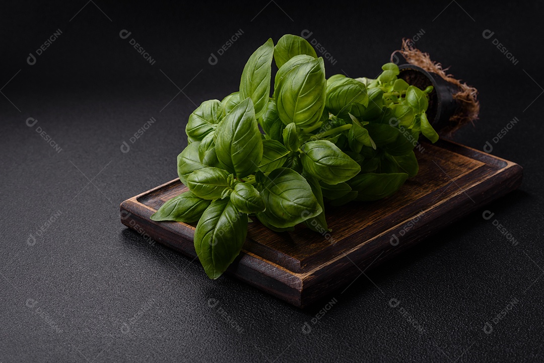 Manjericão de ervas frescas em forma de arbusto como ingrediente para cozinhar em casa sobre um fundo escuro de concreto