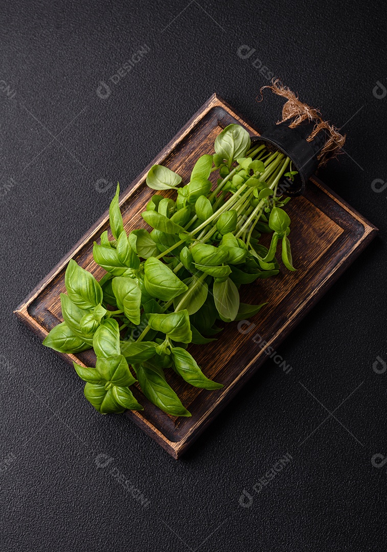 Manjericão de ervas frescas em forma de arbusto como ingrediente para cozinhar em casa sobre um fundo escuro de concreto