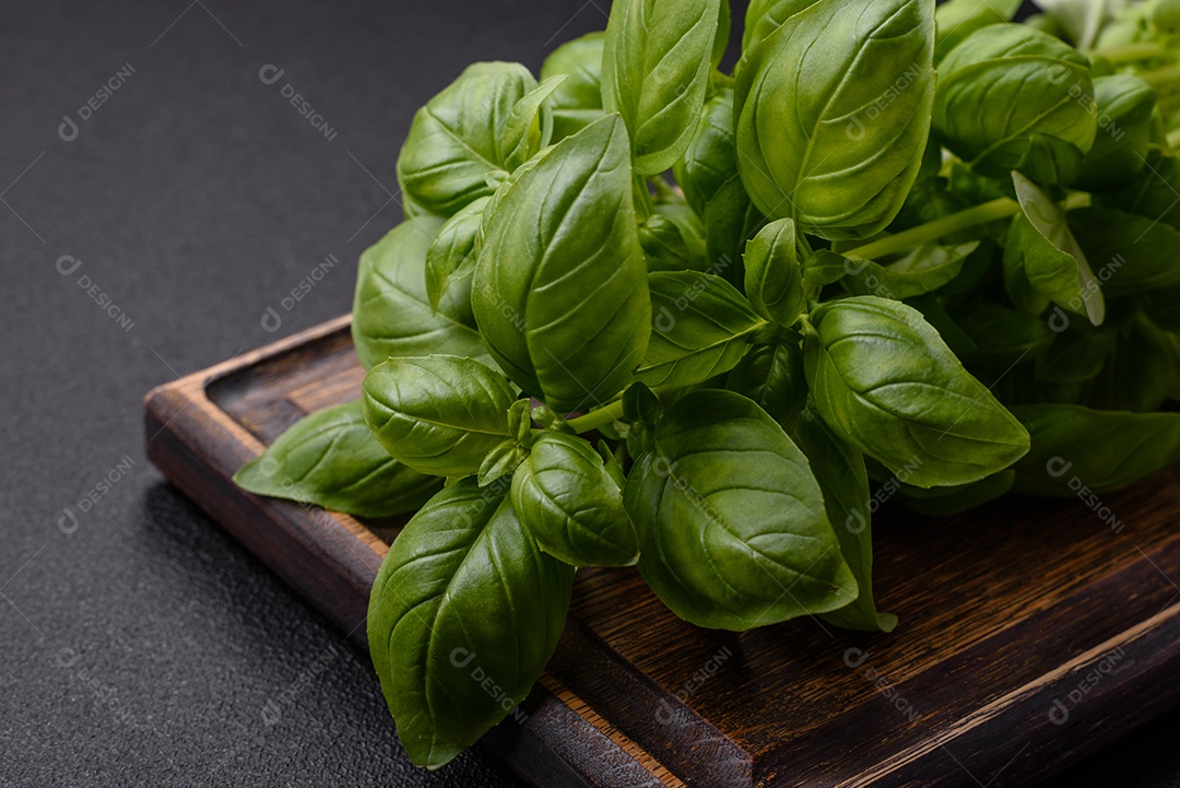 Manjericão de ervas frescas em forma de arbusto como ingrediente para cozinhar em casa sobre um fundo escuro de concreto