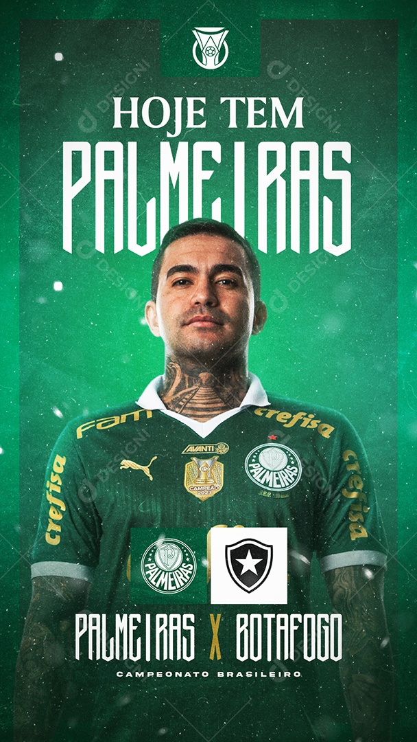 Story Futebol Palmeiras X Botafogo Social Media PSD Editável