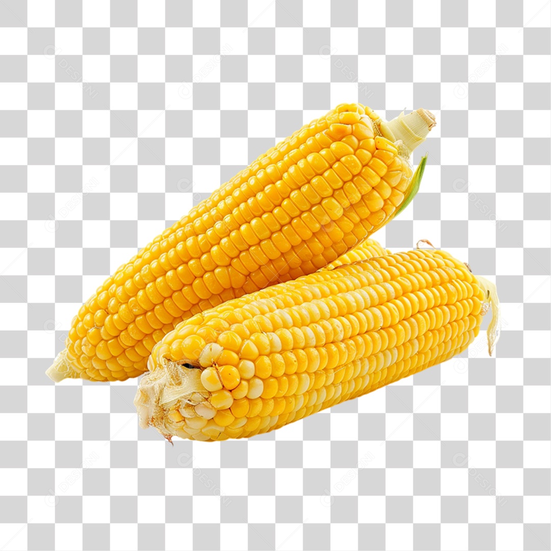 Milho Cozido PNG Transparente