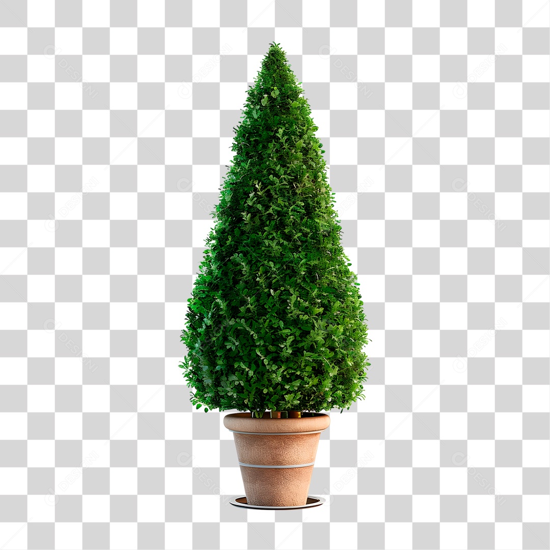 Planta em Vaso PNG Transparente