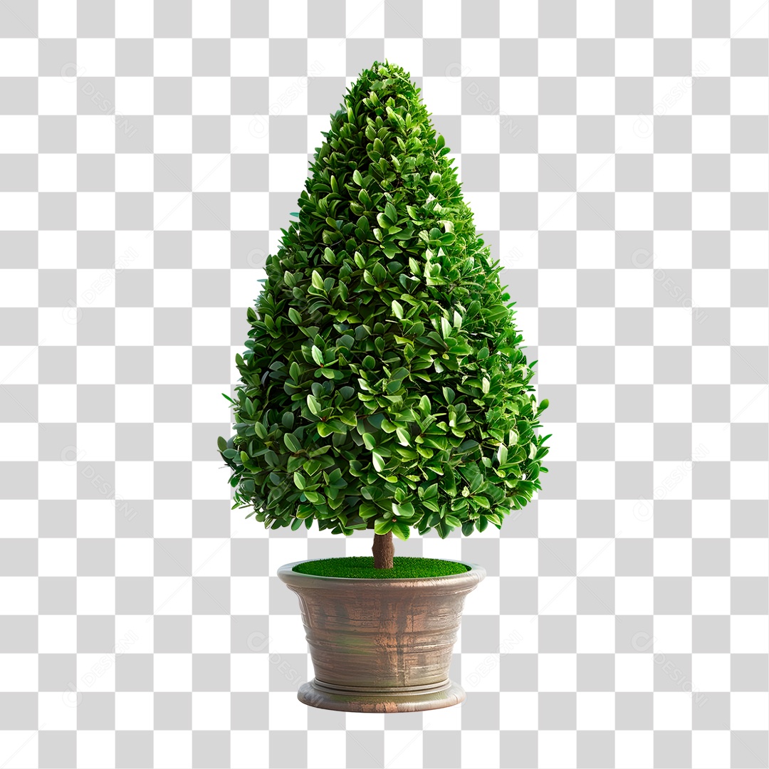 Planta em Vaso PNG Transparente