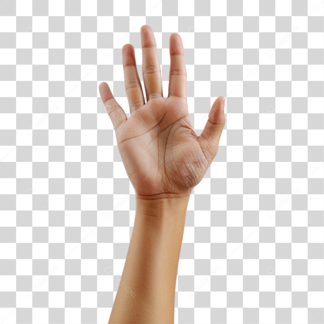 Mãos Fazendo Gestos PNG Transparente