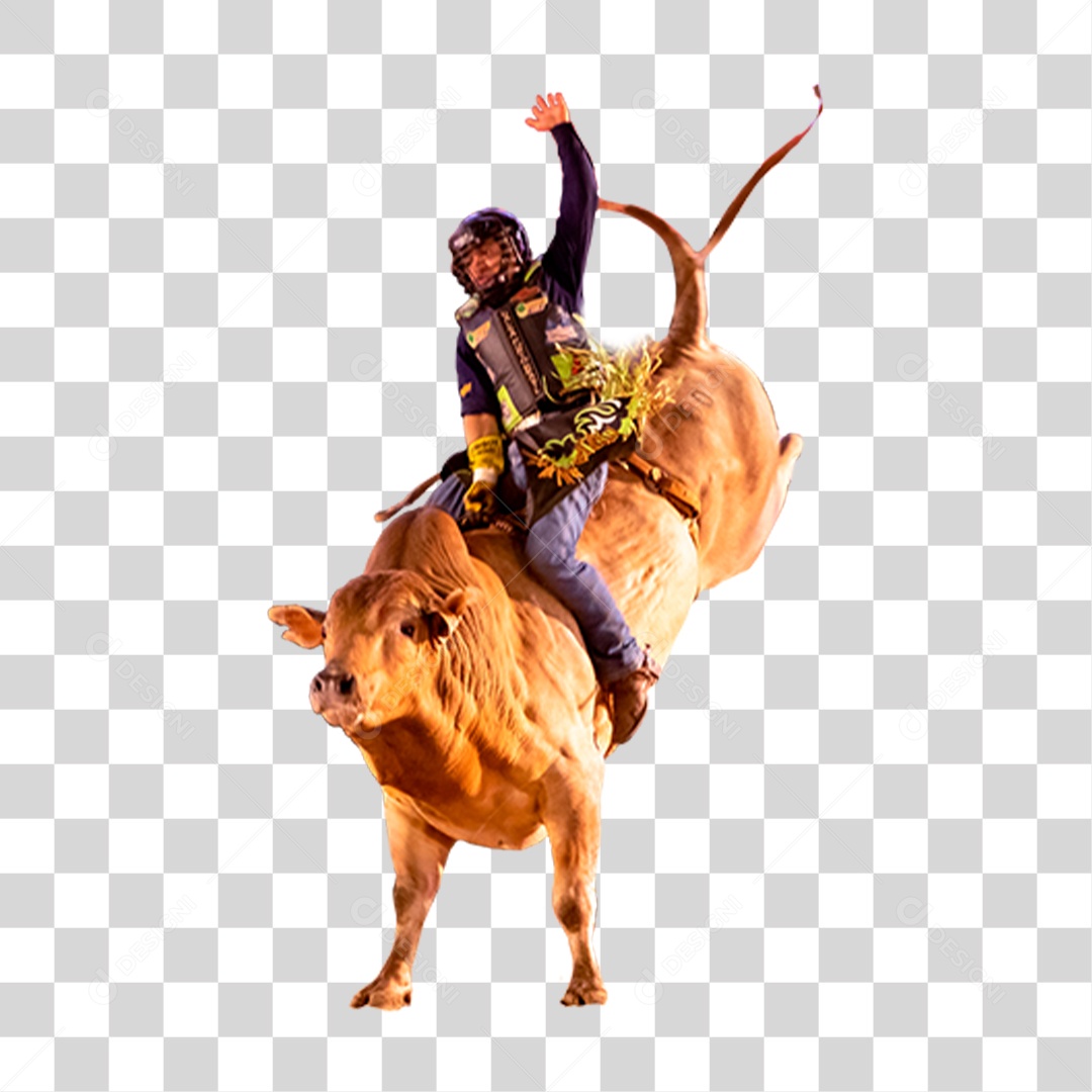 Rodeio PNG Transparente
