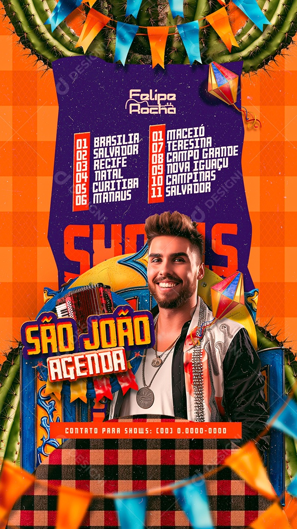 Story Flyer São João Agenda Shows Felipe Rocha Social Media PSD Editável