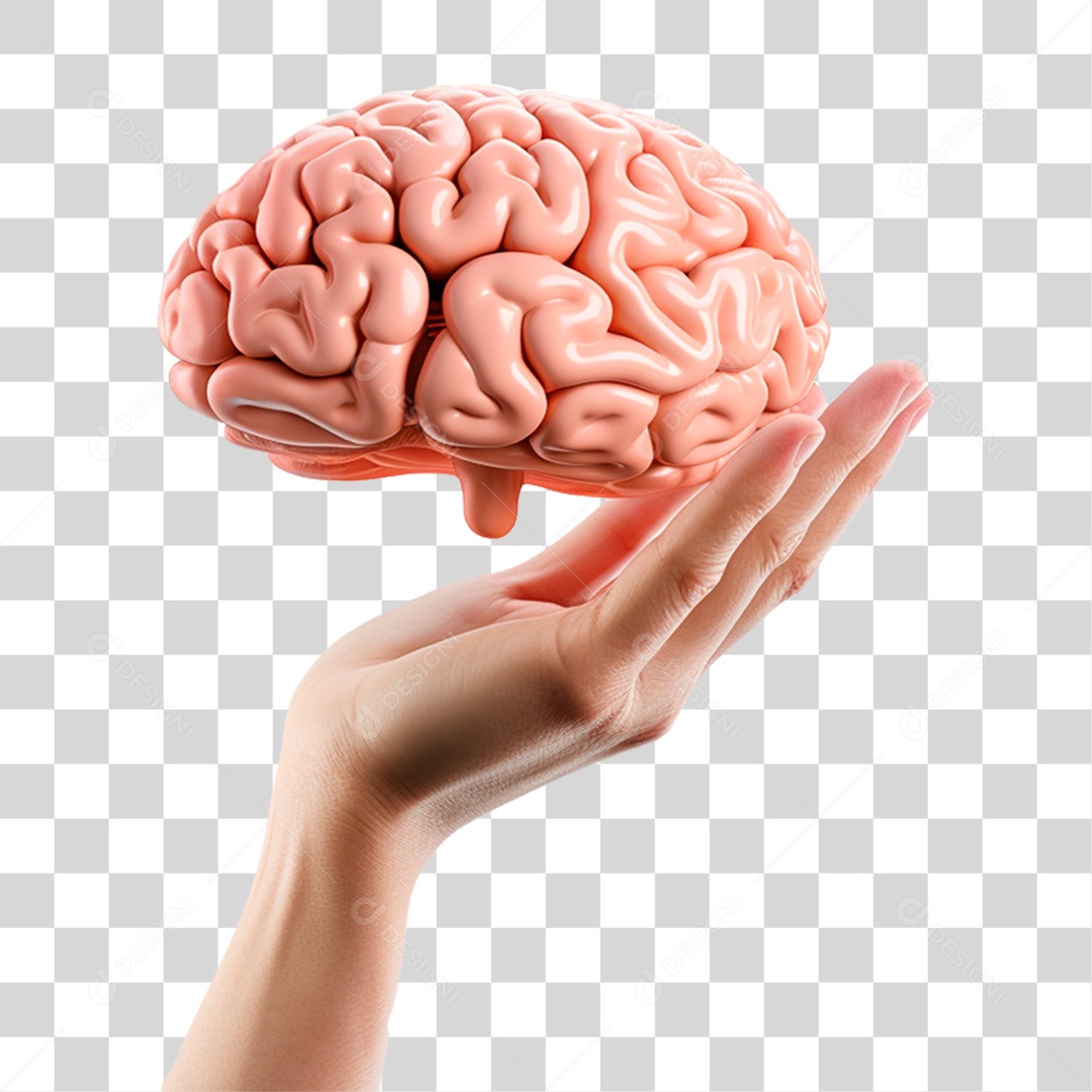 Mão segurando o cérebro 3D