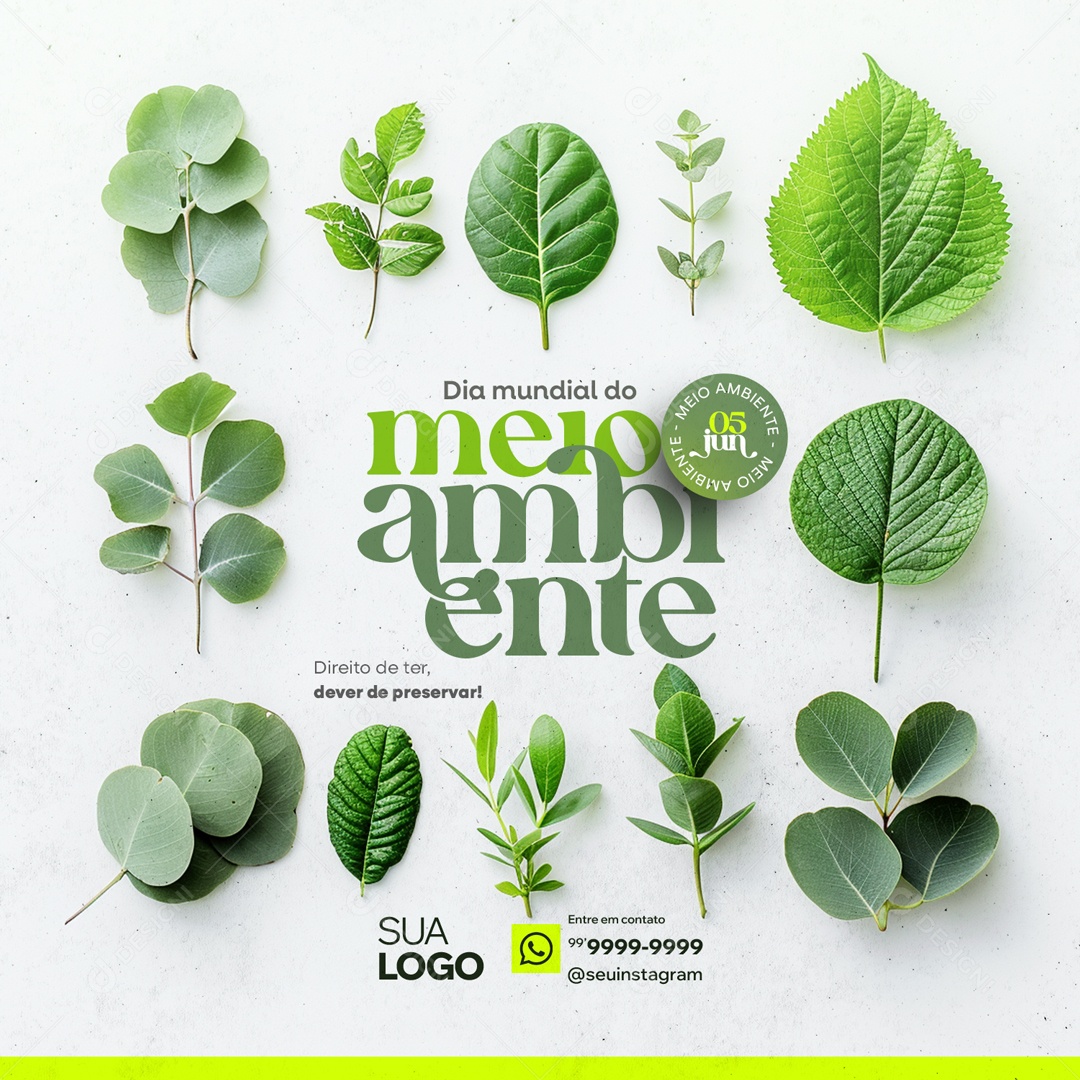 Dia Mundial do Meio Ambiente 5 de Junho Direito de Ter Social Media PSD Editável