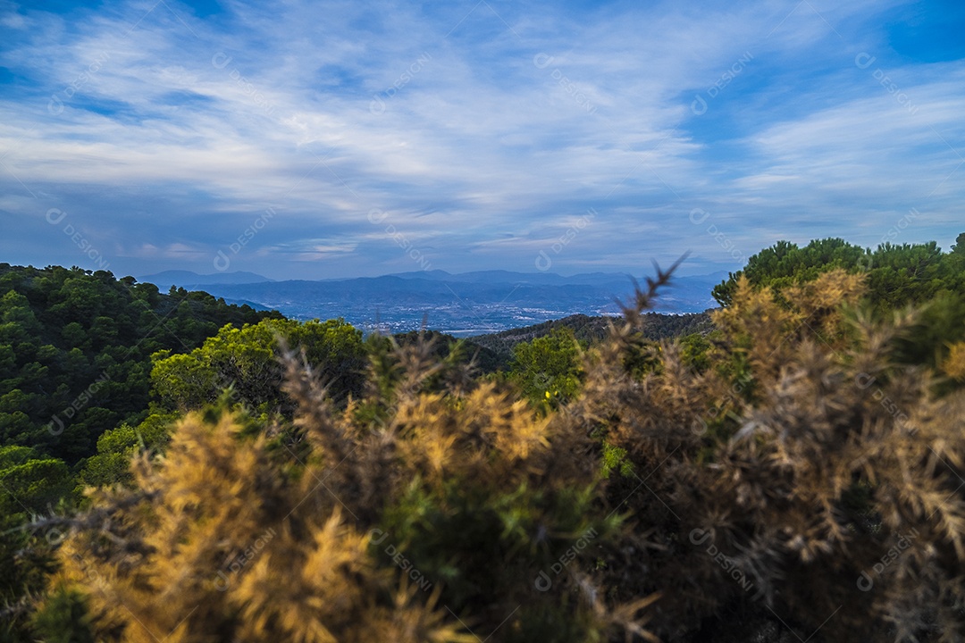 Vista da natureza linda