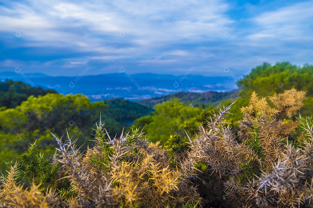 Vista da cidade de Benalmadena com o mar ao fundo do topo da montanha ao entardecer