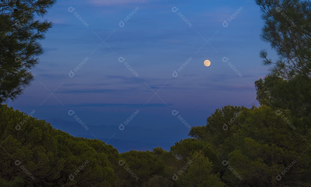 Lua cheia na floresta com céu colorido e enevoado