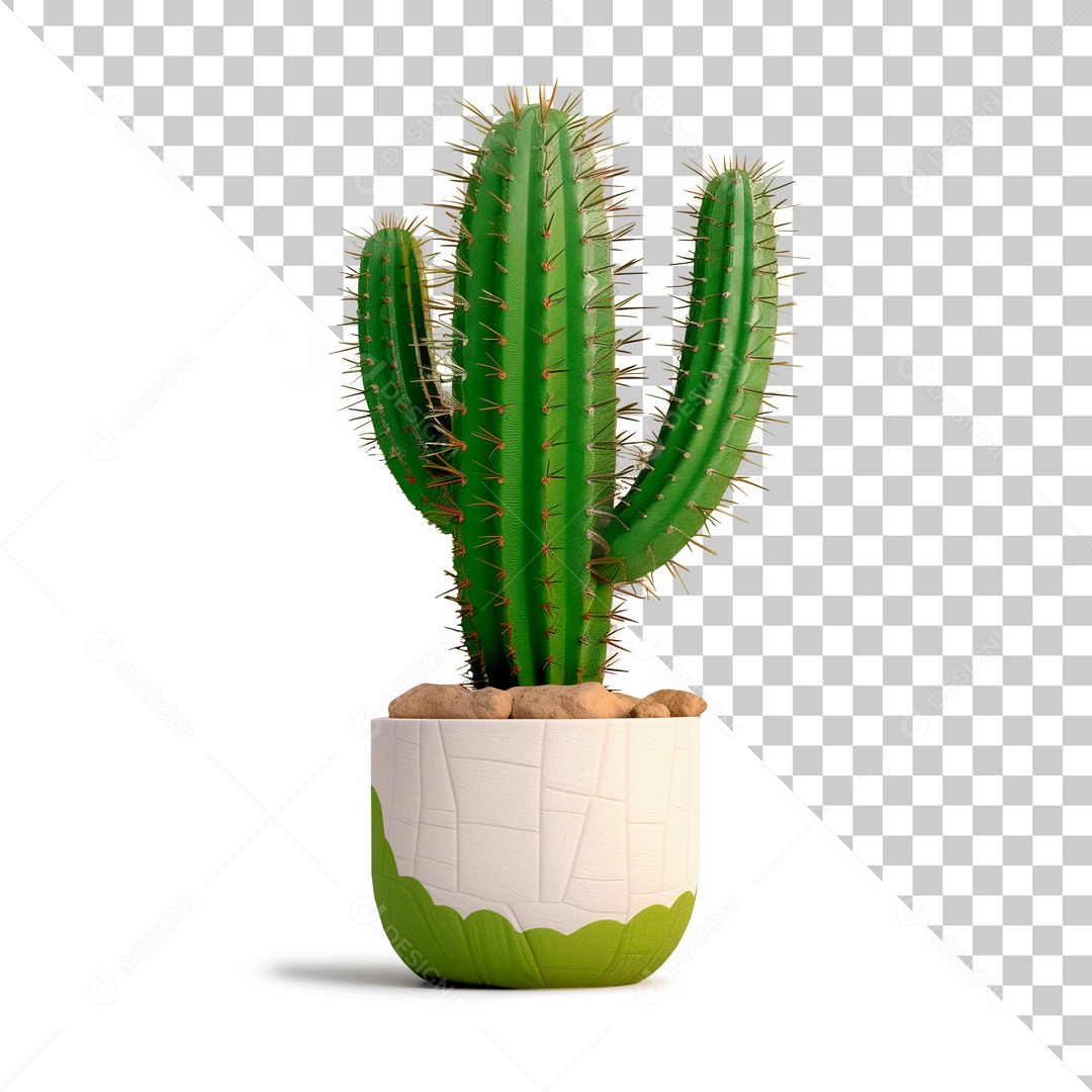 Cacto Elemento 3D de São João para Composição PSD