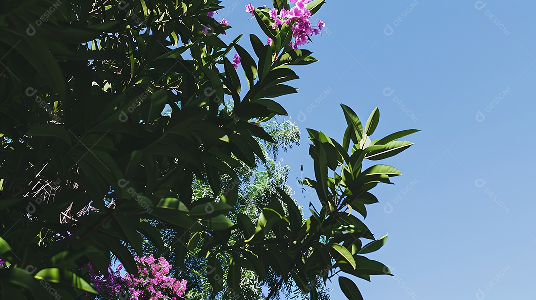 Folhas verdes exuberantes e flores em plena floração contra um céu azul claro