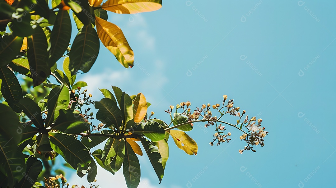 Folhas verdes exuberantes e flores em plena floração contra um céu azul claro