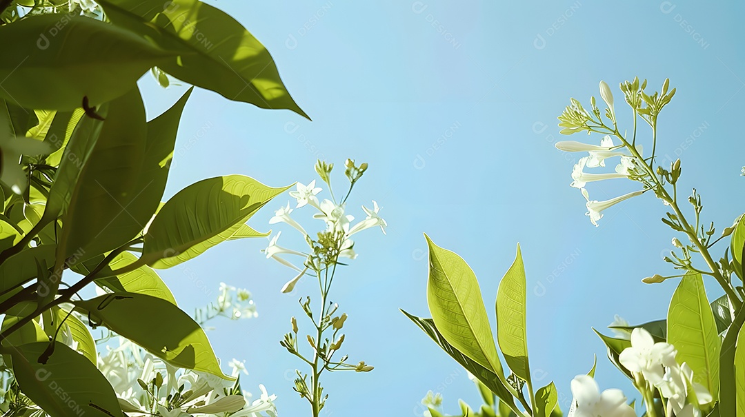 Folhas verdes exuberantes e flores em plena floração contra um céu azul claro