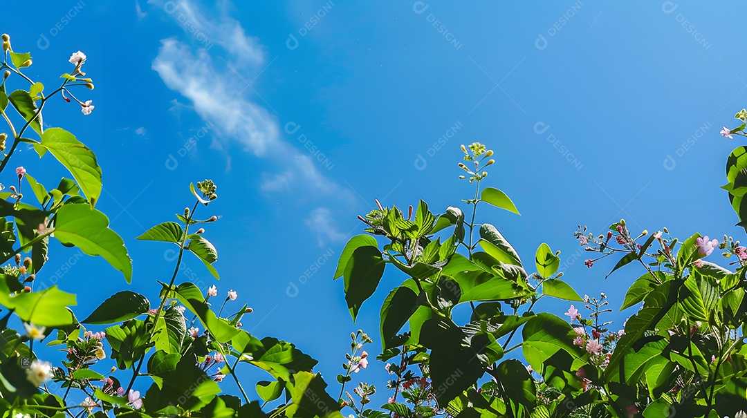 Folhas verdes exuberantes e flores em plena floração contra um céu azul claro