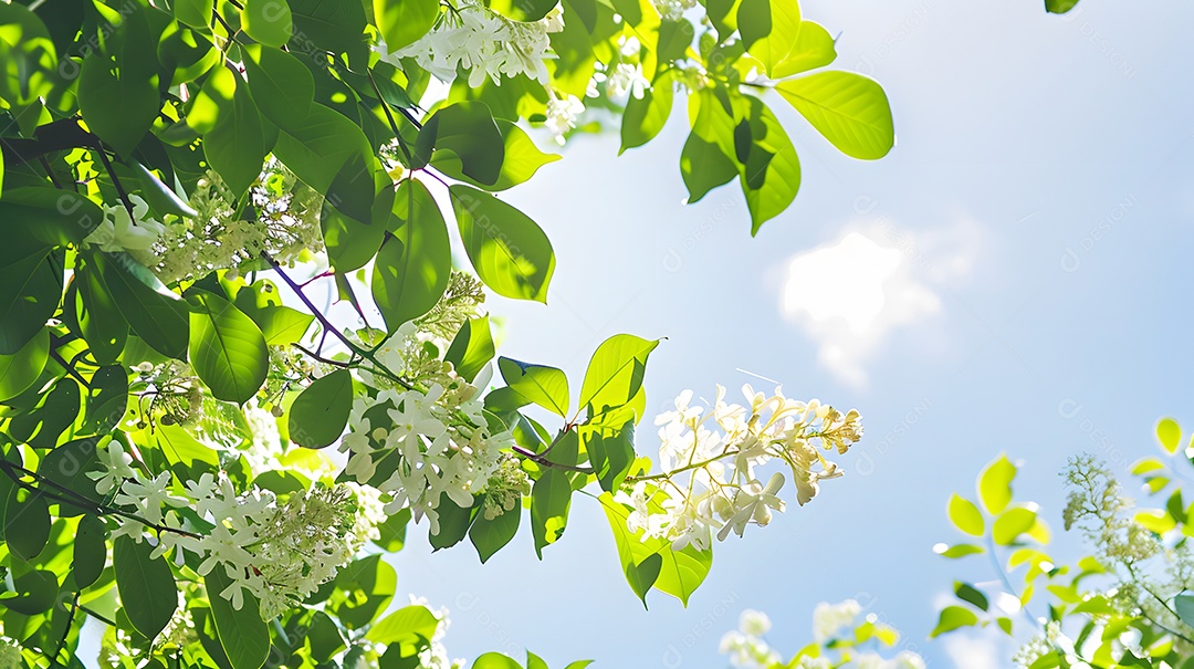 Folhas verdes exuberantes e flores em plena floração contra um céu azul claro