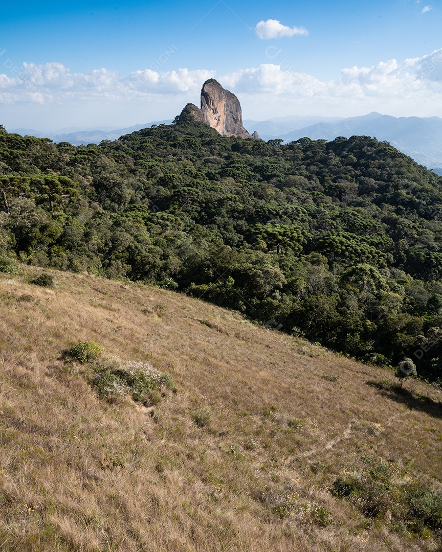 Vista de uma paisagem verdes