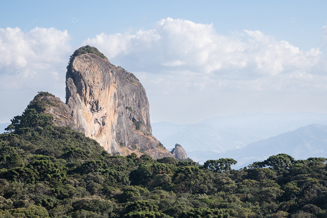 Floresta com serra pedras contra céu
