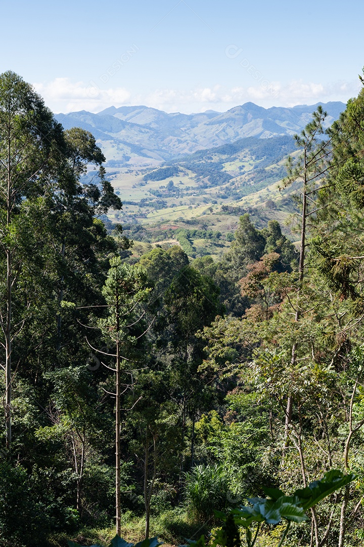 Paisagem tropical maravilhosa
