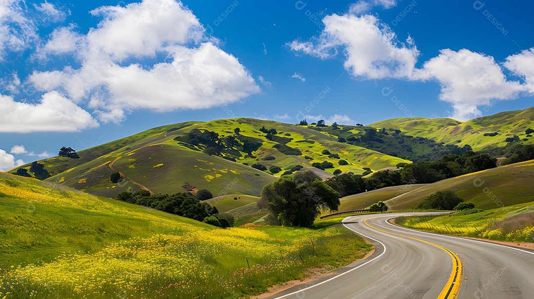 Um passeio panorâmico por colinas repletas de flores silvestres