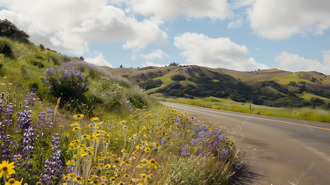 Um passeio panorâmico por colinas repletas de flores silvestres