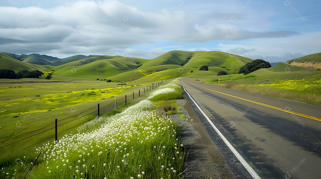 Um passeio panorâmico por colinas repletas de flores silvestres