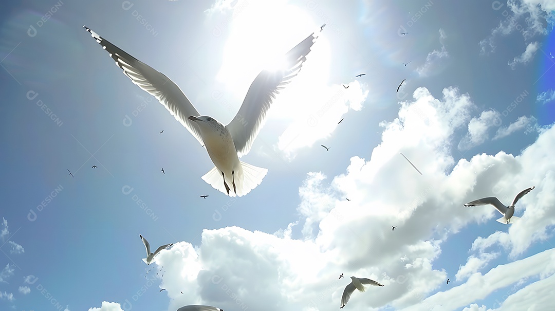 Gaivotas circulando no alto